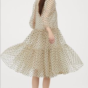 H\u0026M Dresses | Hm Womens Sheer Polka Dot 